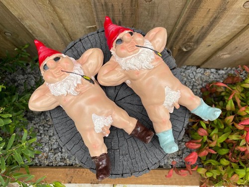 Naughty garden gnome statue - naughty,