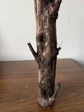 25cm DRIFTWOOD LOG BRANCH