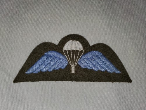 Parachute wings - parachute,