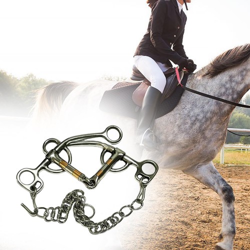 Horse riding bit gear wear - horse,