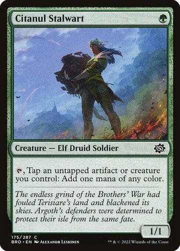 Mtg citanul stalwart - citanul,