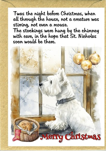West highland white terrier - west,