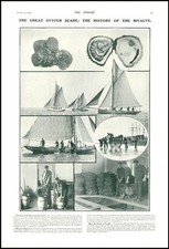 1903 INDUSTRY Oyster Typhoid Outbreak Winchester Os'rea Edulis Bivalve  (52)