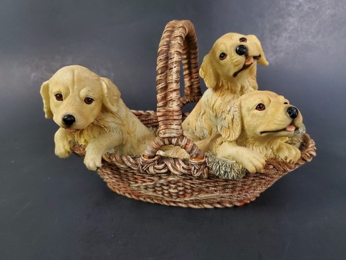 Adorable puppies basket - in,