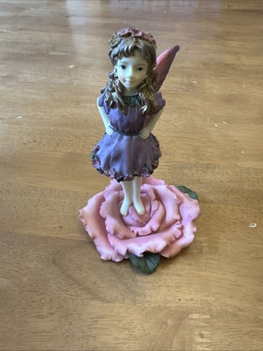 Dezine the fairy collection - the,