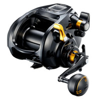 Shimano 22 Beastmaster 9000
