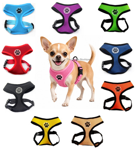 Dog mesh harness - harness, pull
