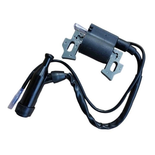 Ignition coil for - ignition,