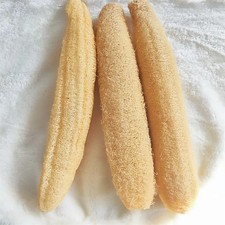 Natural Loofah Luffa Sponge