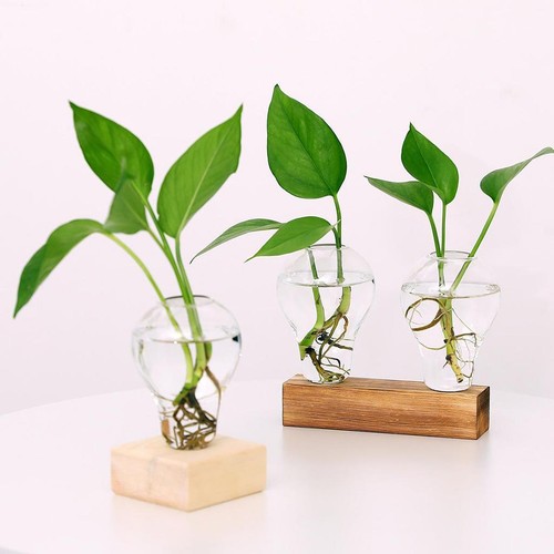 Glass tube vase wooden - glass,