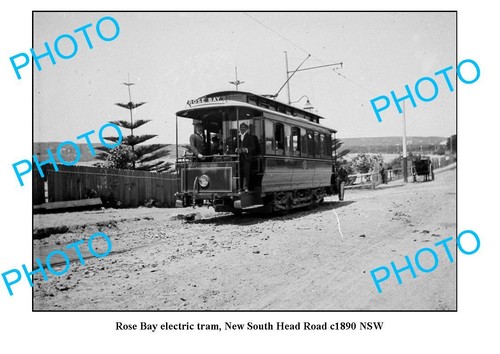 Old large photo rose bay - large,