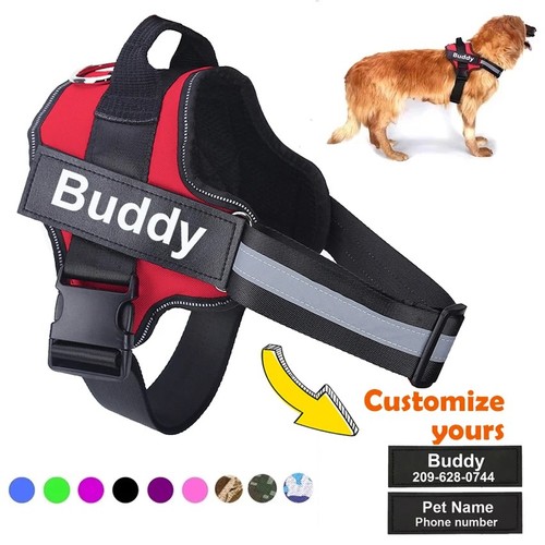 Personalised dog harness - personalised,
