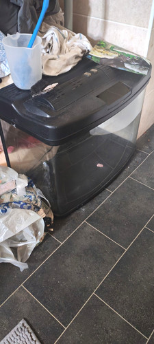 Litre fish tank comes with - fish,