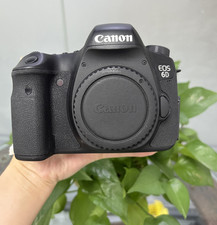Canon EOS 6D 20.2MP Digital