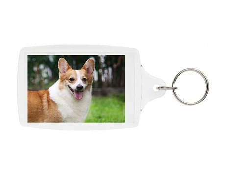 Pembroke welsh corgi keyring - pembroke,