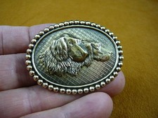 (b-dog-357) Two hunting dogs