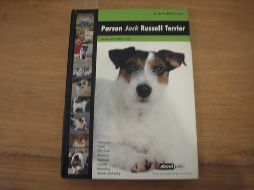 Parson jack russell - jack, terrier