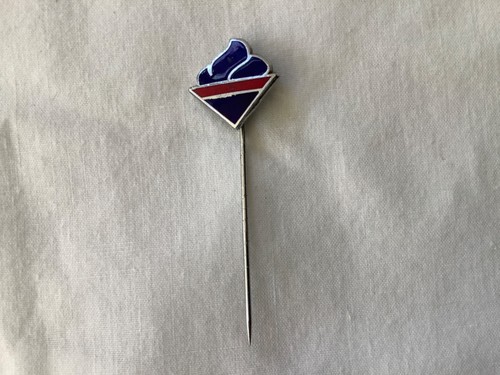 Flame conservative party - party, pin