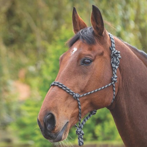 Shires rope control - control, headcollar