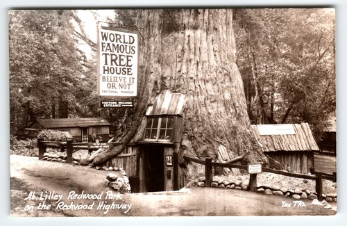 Vintage real photo postcard - vintage,