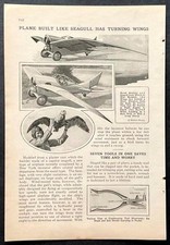 Bonney Gull 1926 article