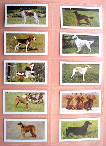 Dogs horniman tea - tea,