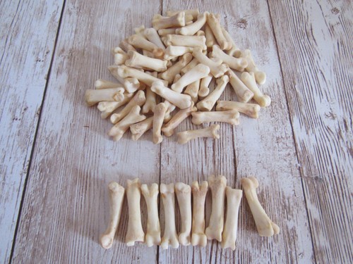 Coyote toe foot bone - coyote,