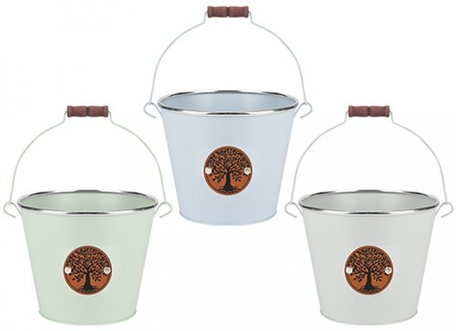 Metal bucket planter tree - tree, of