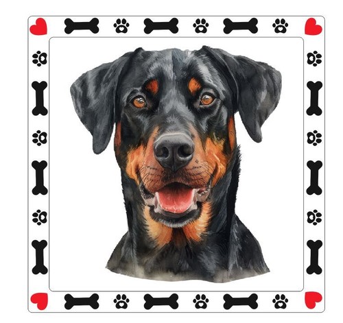 Beauceron dog sticker - dog,