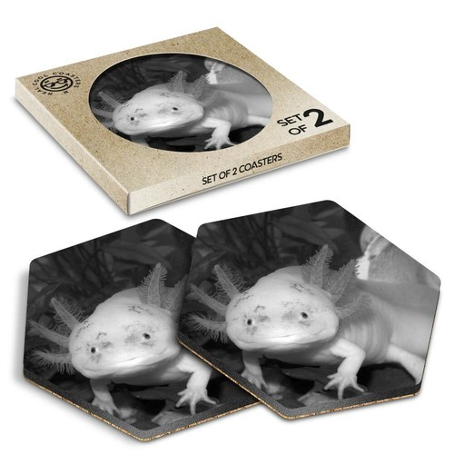 Hexagon coasters bw - coasters,