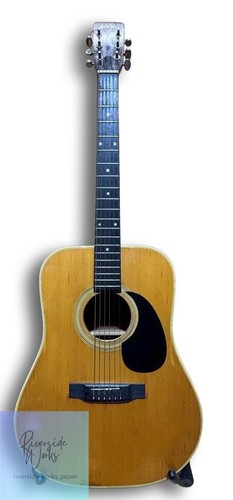 Retro aria acoustic - acoustic, guitar