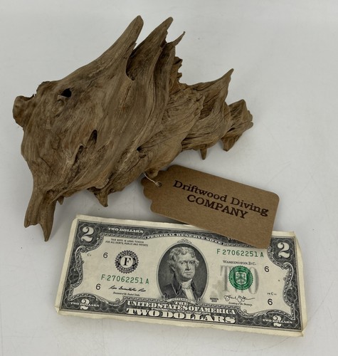 Driftwood unique natural - driftwood,