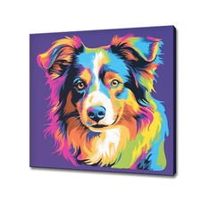 Australian Shepherd Dog