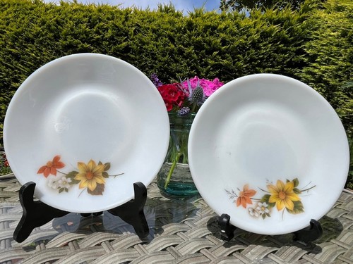 Vintage 1960s jaj pyrex autumn - jaj,