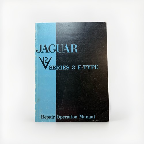 Jaguar type series - jaguar, 3