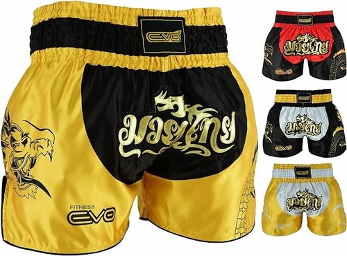 Evo fitness muay thai - evo,