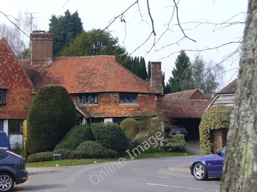 Photo 6x4 rosemary - photo,