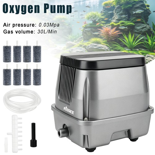 Garden fish pond air - garden,