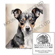 Rat Terrier Dog Portrait