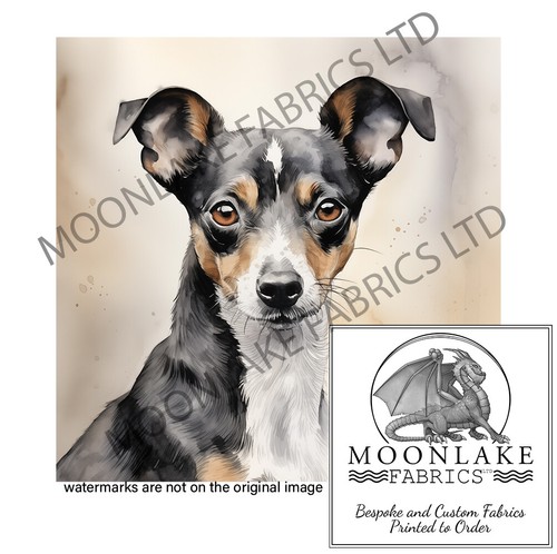 Rat terrier dog portrait - rat,