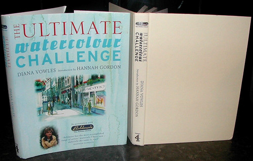 Watercolour art challenge - art,