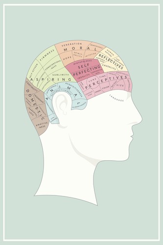 Phrenology brain region - phrenology,