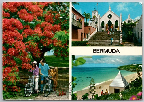 Vintage bermuda multi view - vintage,