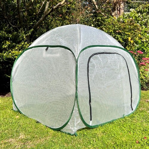 75m h poly tunnel - x,
