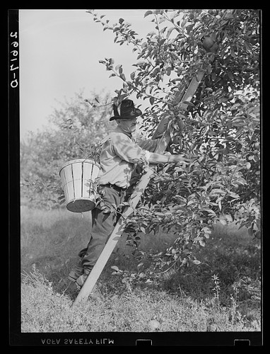 Photo camden county new jersey - county,