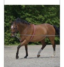 Equipride Soft Lunging Aid