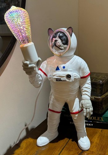 French bulldog spaceman - french,