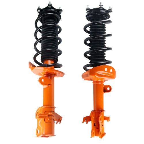 Front strut assembly - 2x,
