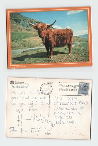Vintage postcard highland - vintage,