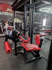 Watson seated hamstring - watson, curl